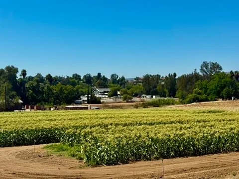 Farming operations and horse stables in the neighborhood