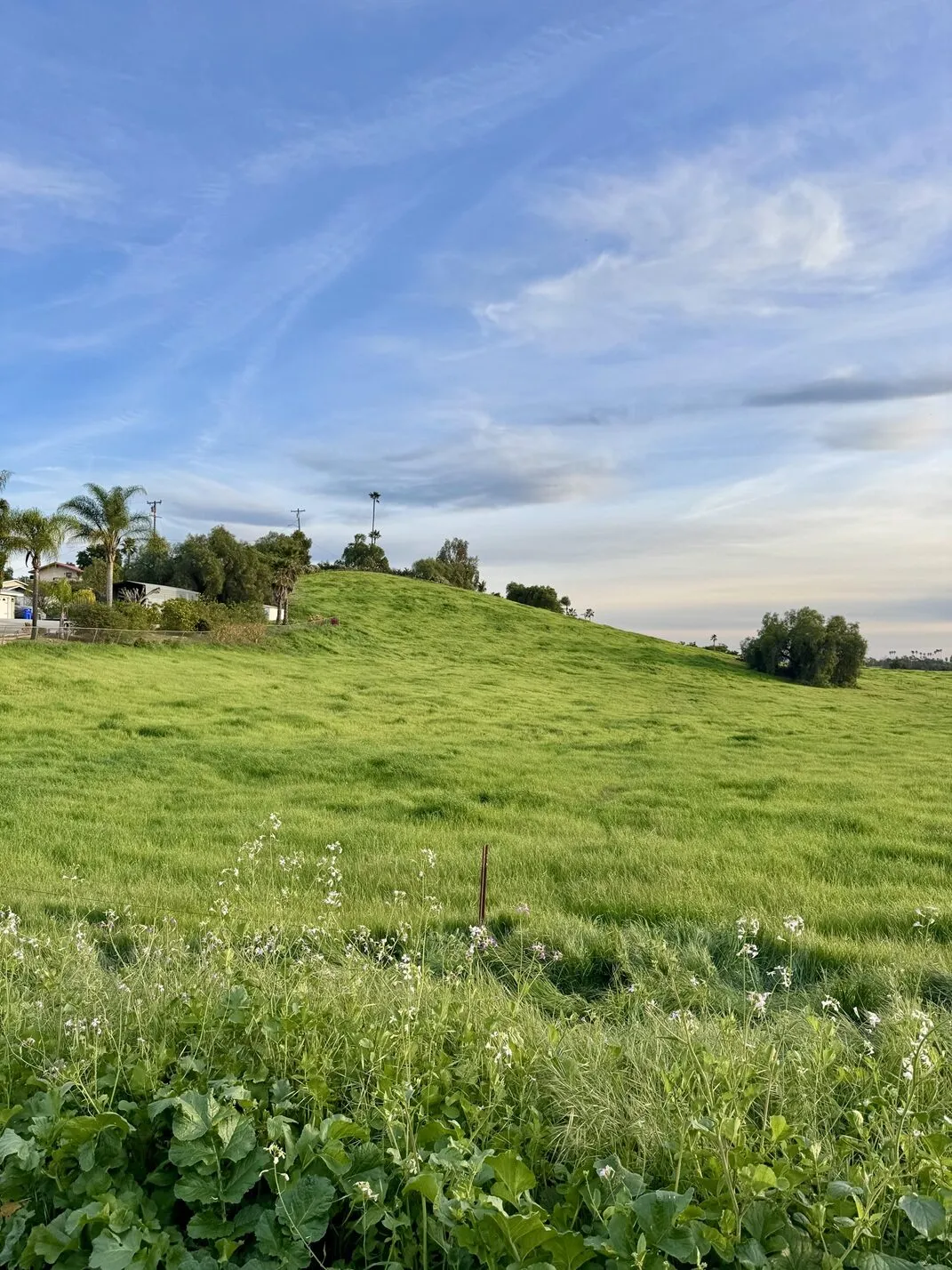 Green hillside and open sky above the rural parcels of unincorporated Escondido.