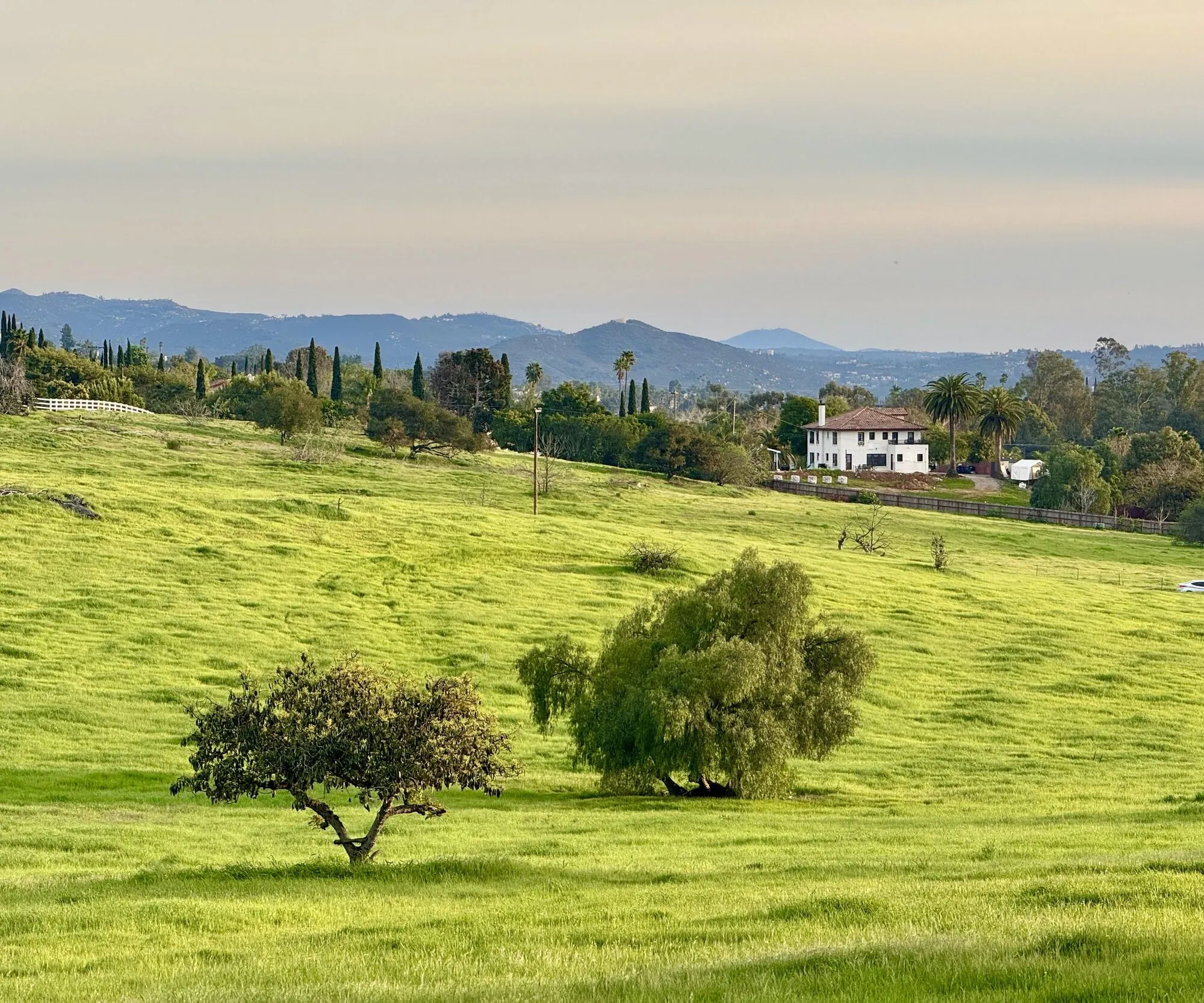 Open pasture and oak trees across the rural parcels of unincorporated Escondido.