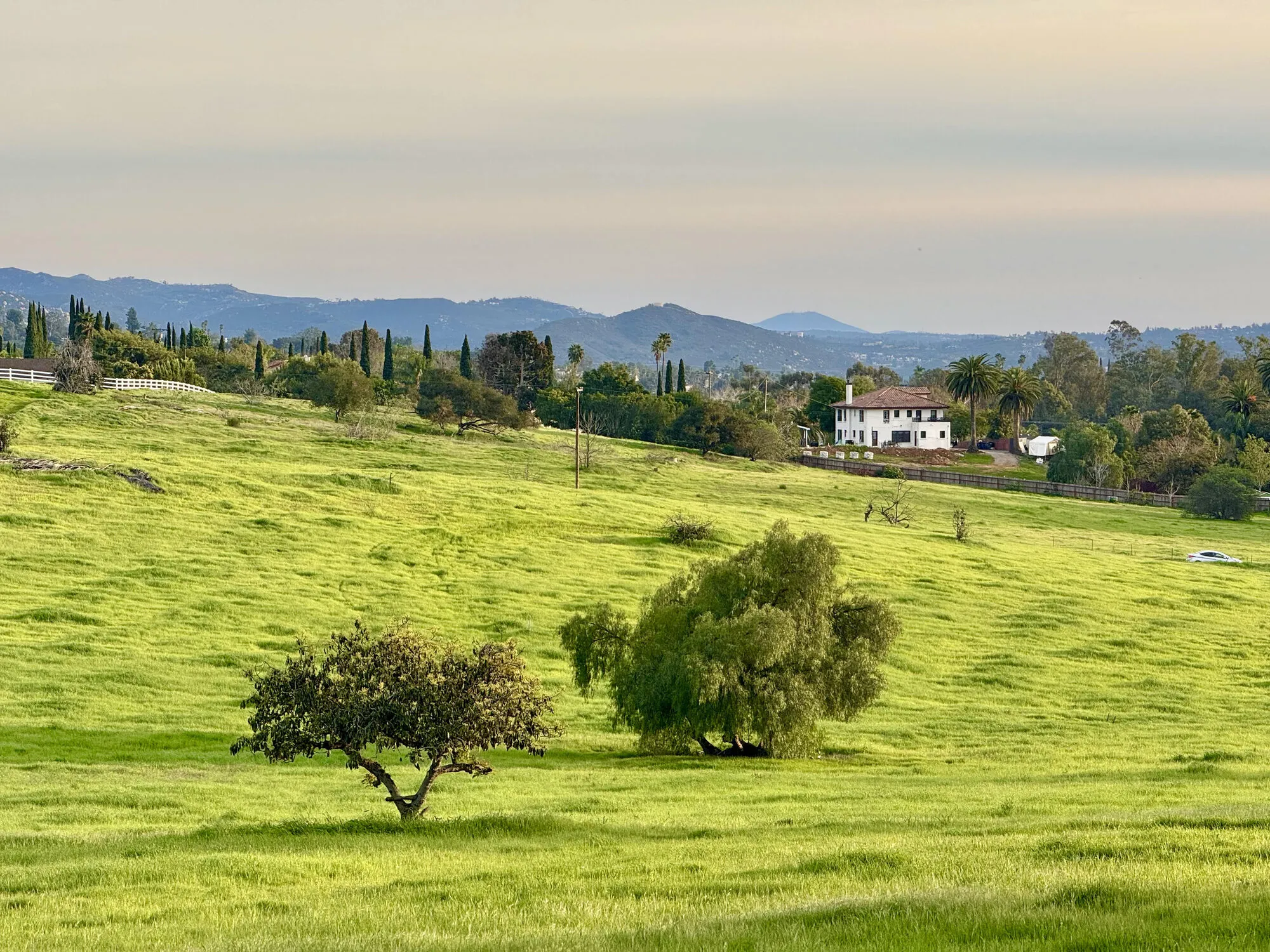 Open green pasture and oak trees in rural Escondido, with scattered homes and hills on the horizon.